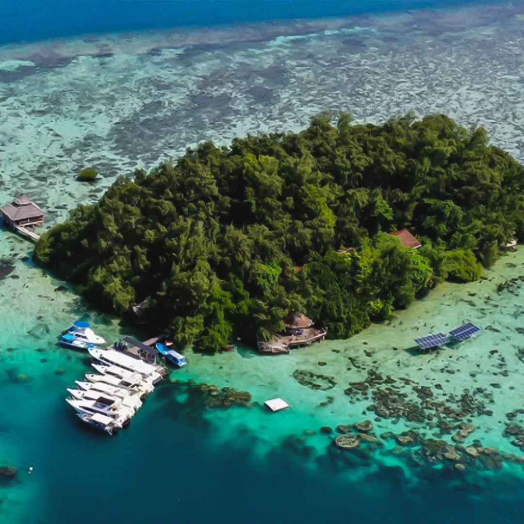 MACAN ISLAND