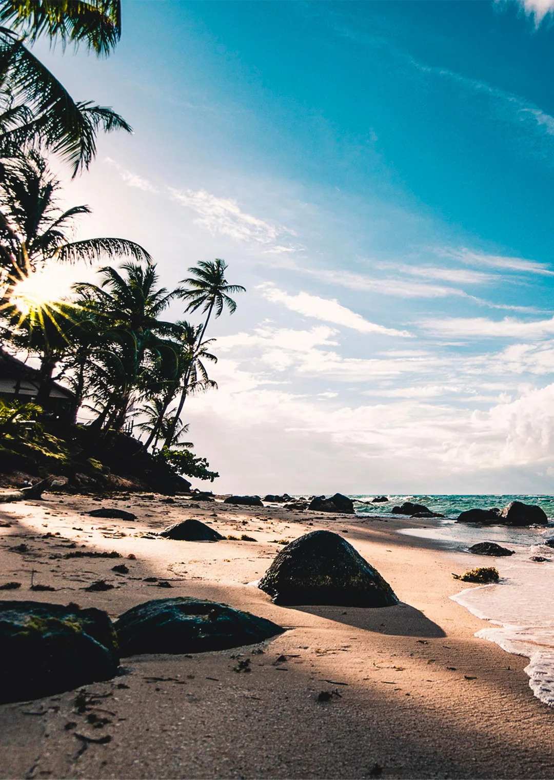 Beachy