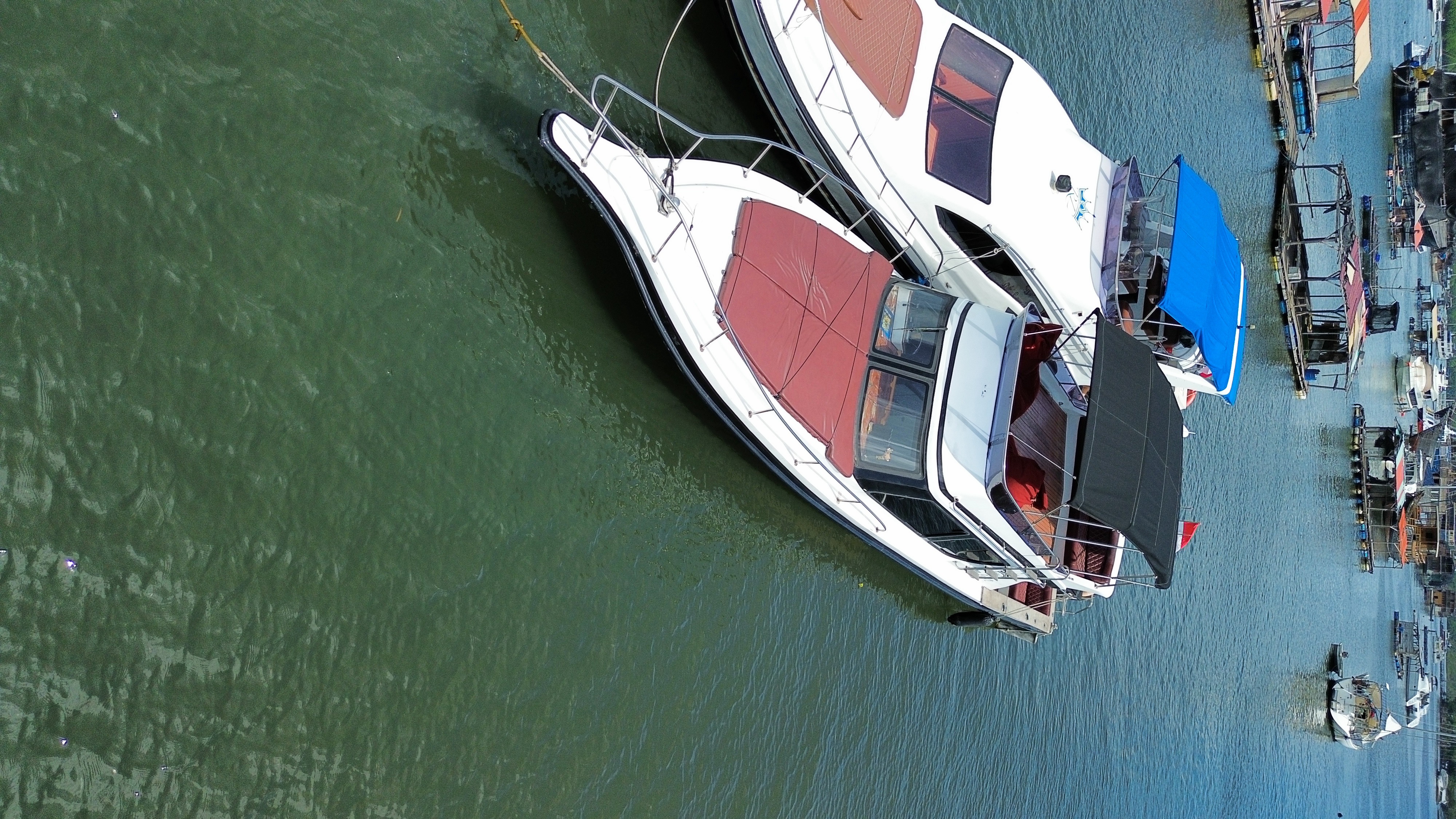 QZ12 Yacht